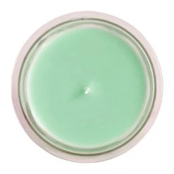 Comptoir De Famille Bougie Sous Le Figuier Vert 220g -SEMA DESIGN Boutique 201174 DET02 WEB