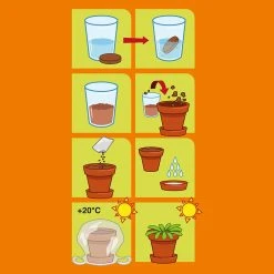 Radis Et Capucine Pot D8cm Avec Coupelle Plantes Carnivores -SEMA DESIGN Boutique 621646 FRN04 WEB