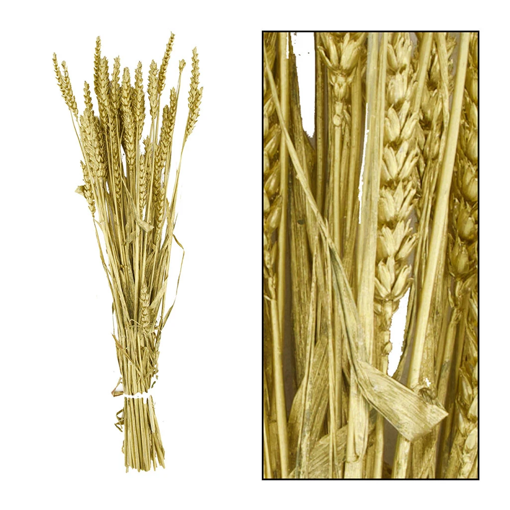 Dijk Branche Triticum Dore 70x10x5cm 1 Dijk Branche Triticum Dore 70x10x5cm