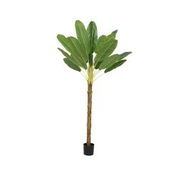 Kaemingk Bananier En Pot 100x120xh230cm