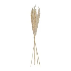 SEMA DESIGN Fleur Pampas Naturel H75cm Vegetal X6 Tiges