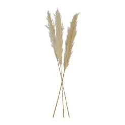 SEMA DESIGN Fleur Pampas Beige H75cm Vegetal X6 Tiges