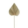 SEMA DESIGN Feuille De Palmier Naturel H62cm - Golden