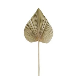 SEMA DESIGN Feuille De Palmier Naturel H62cm - Golden