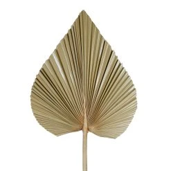 SEMA DESIGN Feuille De Palmier Naturel H62cm - Golden -SEMA DESIGN Boutique 76129 DET02 WEB